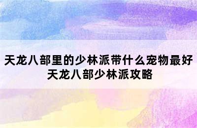 天龙八部里的少林派带什么宠物最好 天龙八部少林派攻略